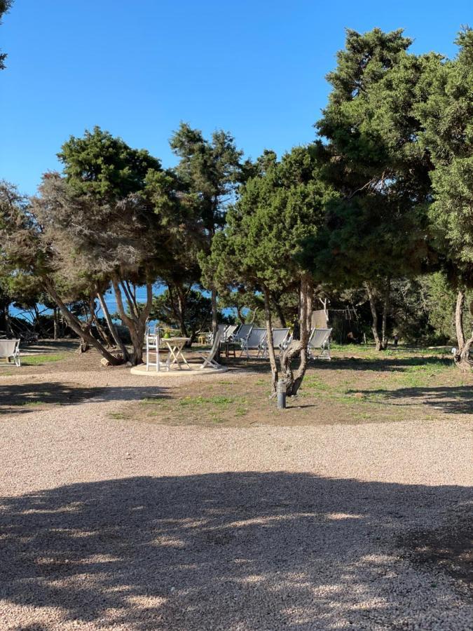 Meridium Formentera By Tentol Hotels Platja de Migjorn Eksteriør billede