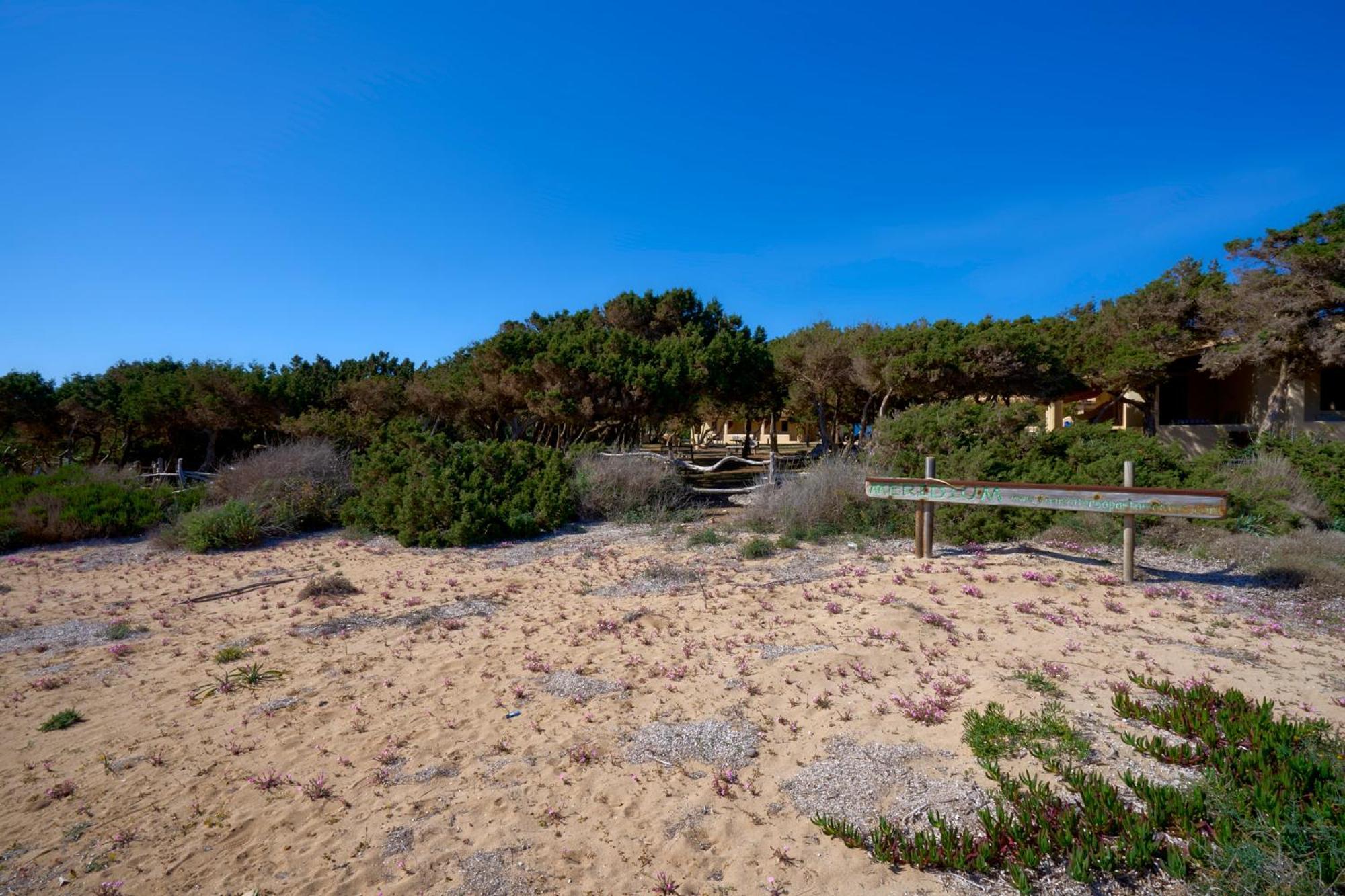 Meridium Formentera By Tentol Hotels Platja de Migjorn Eksteriør billede