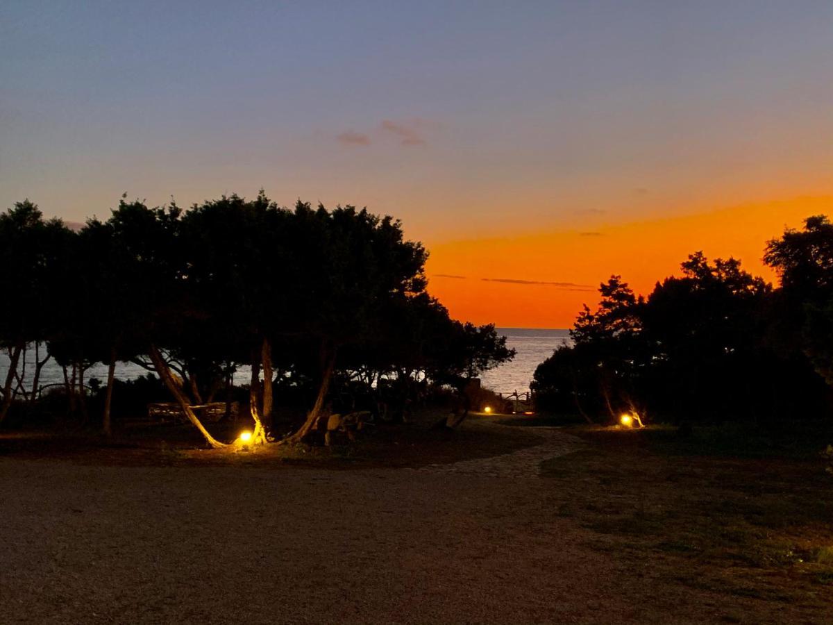 Meridium Formentera By Tentol Hotels Platja de Migjorn Eksteriør billede